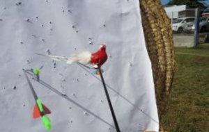 Le tir du Roy, samedi 14 mai!