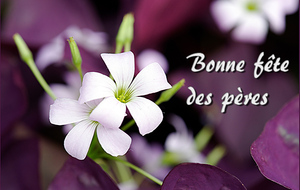 BONNE FETE A TOUS LES PAPAS...