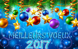 Meilleurs vœux 2017 