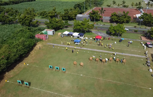 TRJ de Saint -André par les Colosses...