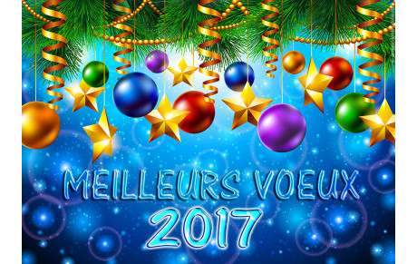 Meilleurs vœux 2017 