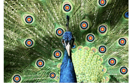 Une idée de mascotte... Par nos plus jeunes archers...