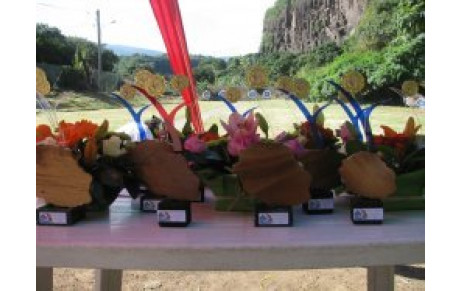  Championnat de ligue Fita.